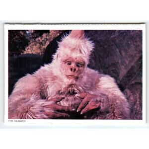 1977 Star Trek The Mugato Chrome Postcard from A Private Little War